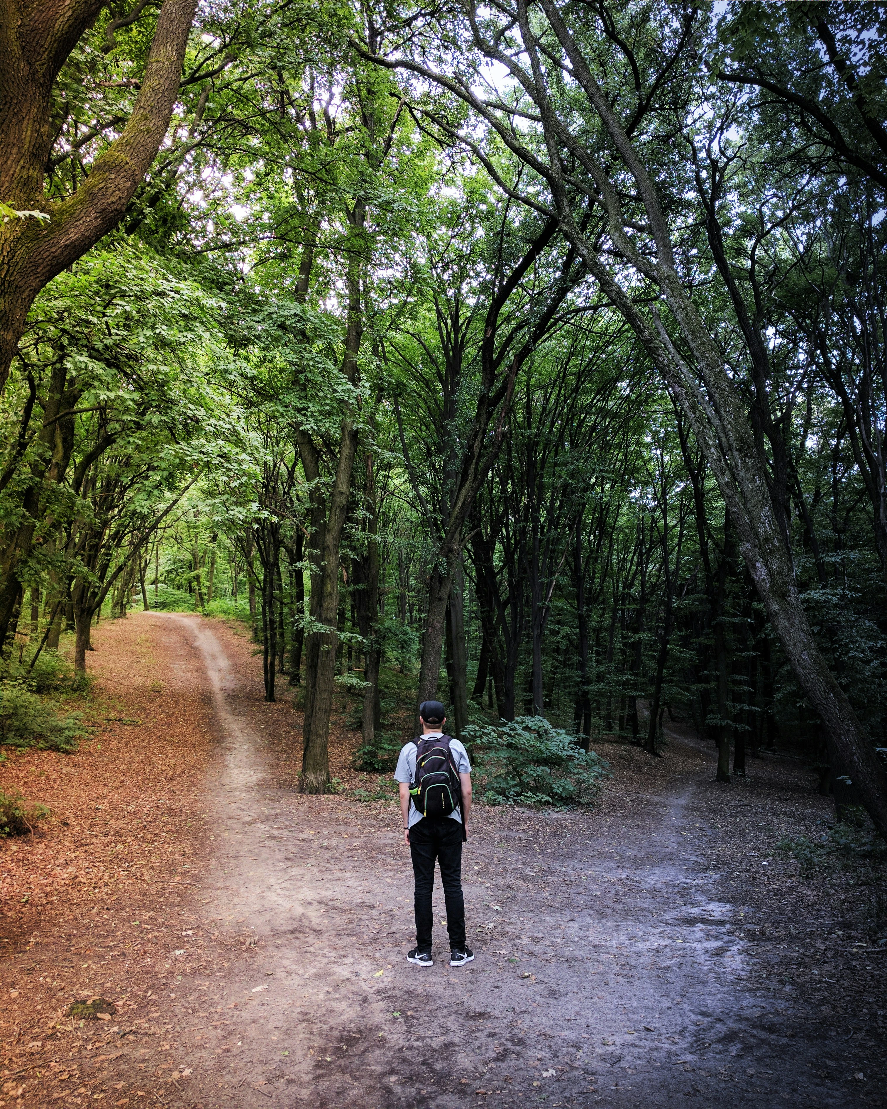 Man deciding between two routes in a forest